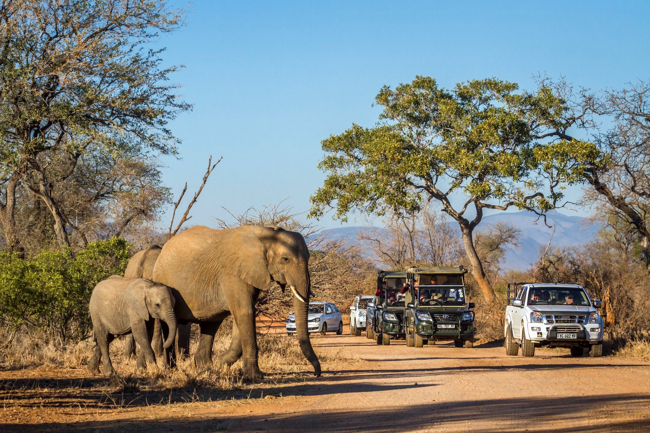 Cheap Africa Rental Cars