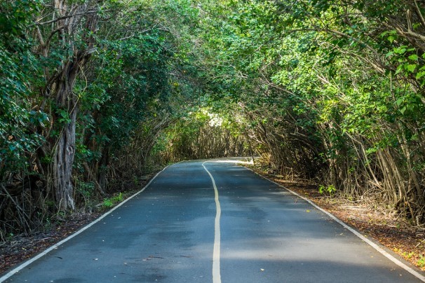  Cheap British Virgin Islands Rental Car