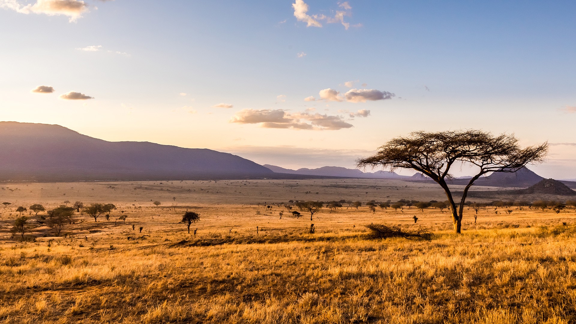 Cheap Flights & Plane Tickets To South Africa
