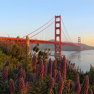 Cheap Flights & Plane Tickets To United States