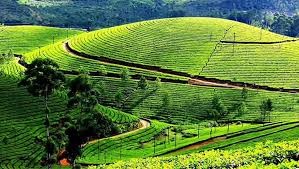 Cheap India Rental Cars