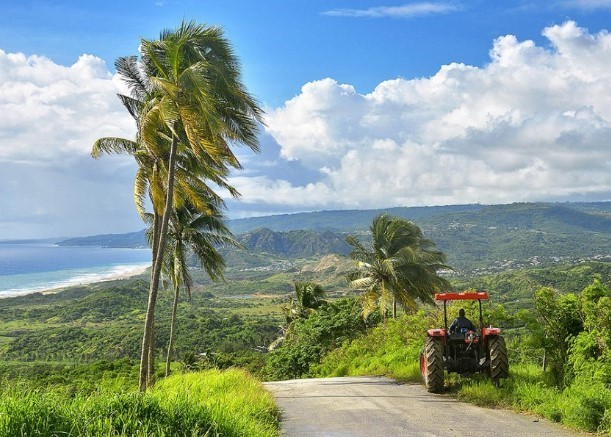 Cheap Jamaica Rental Cars