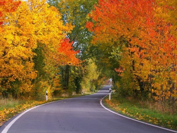 Cheap New Hampshire Rental Car