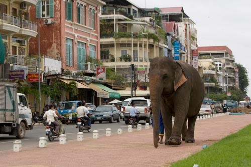 Cheap Cambodia Rental Cars