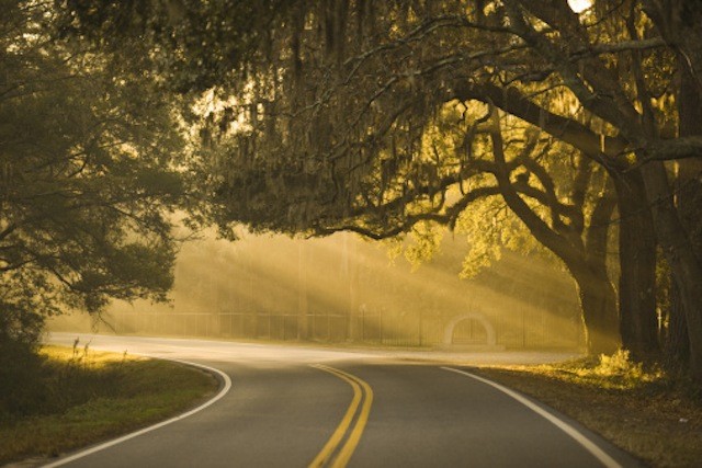 Cheap Savannah Rental Car