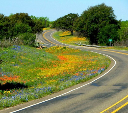 Cheap Texas Rental Car