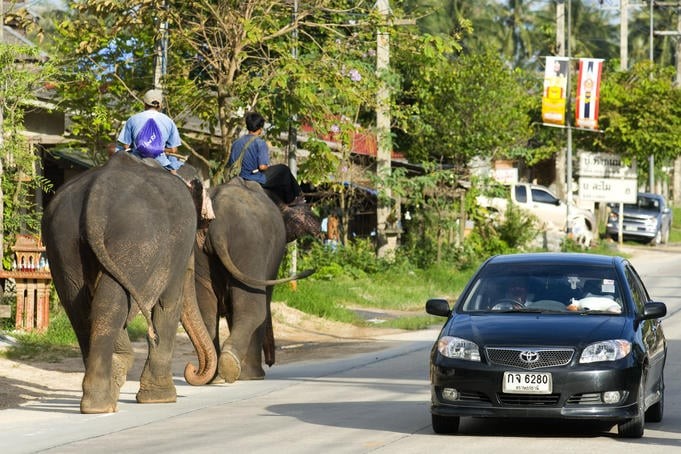 Cheap Bangkok Rental Car
