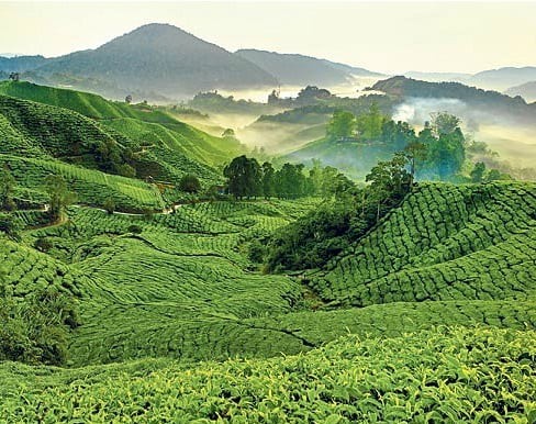 Cheap Flights & Plane Tickets To Malaysia