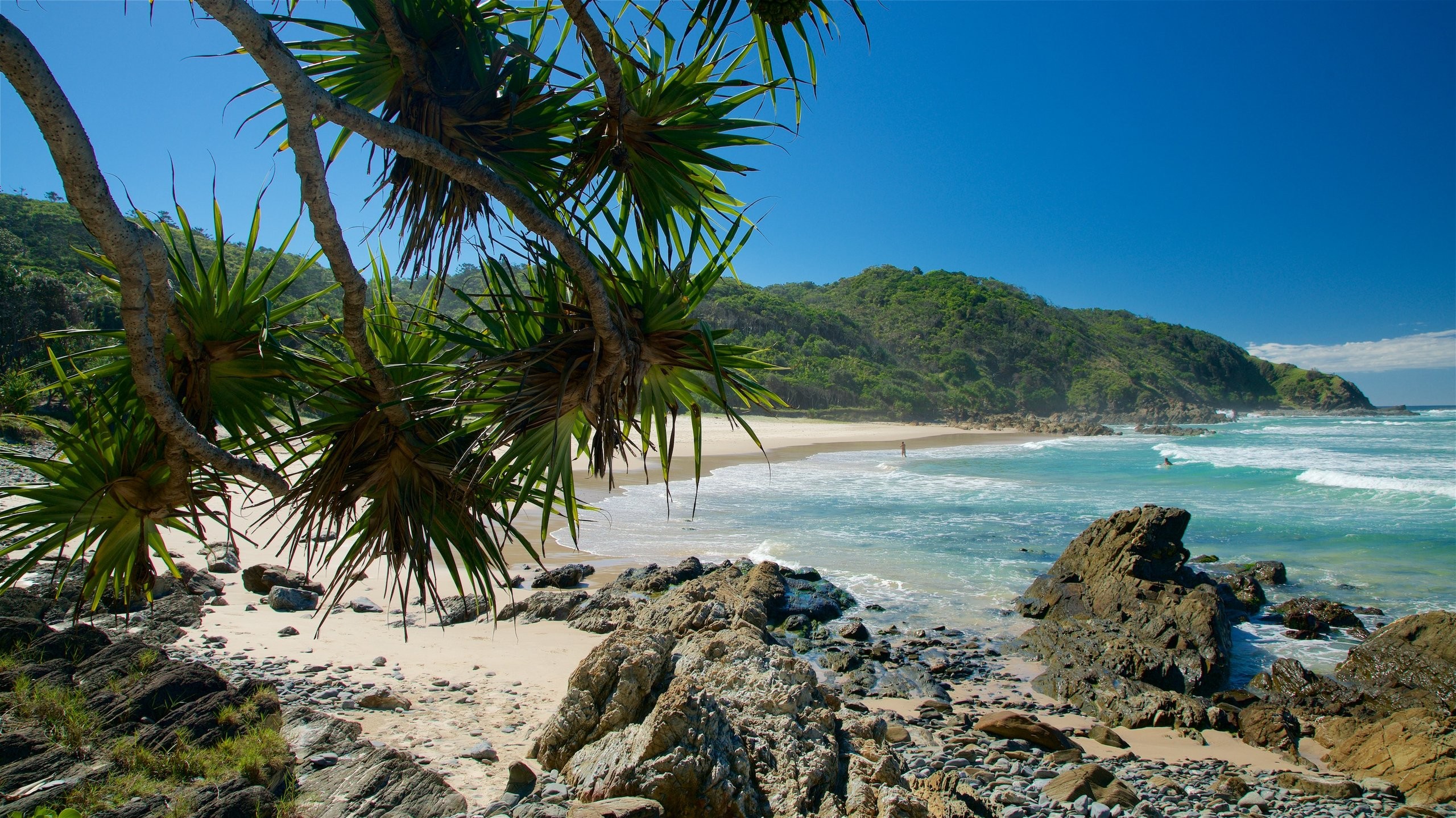  Cheap Flights & Plane Tickets To New South Wales