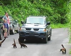 Cheap Costa Rica Rental Cars